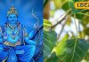 शनि की नजर का नहीं पड़ेगा असर! साढ़ेसाती, ढैय्या, पितृ दोष..सब कष्टों का एक उपाय, हर शनिवार को करें ये काम