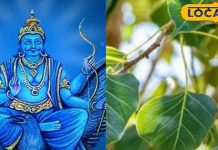 शनि की नजर का नहीं पड़ेगा असर! साढ़ेसाती, ढैय्या, पितृ दोष..सब कष्टों का एक उपाय, हर शनिवार को करें ये काम