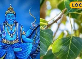 शनि की नजर का नहीं पड़ेगा असर! साढ़ेसाती, ढैय्या, पितृ दोष..सब कष्टों का एक उपाय, हर शनिवार को करें ये काम