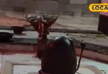 Shiv Temple: There is a rare temple of Lord Shiva at this place, worshiping here ends the fights between husband and wife