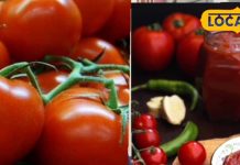 सस्ते टमाटर का फायदा उठाएं, घर पर केचप बनाएं, आधा ग्राम डाल दें ये चीज, 6 महीने नहीं होगा खराब, 4 गुना कमाएं