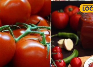 सस्ते टमाटर का फायदा उठाएं, घर पर केचप बनाएं, आधा ग्राम डाल दें ये चीज, 6 महीने नहीं होगा खराब, 4 गुना कमाएं