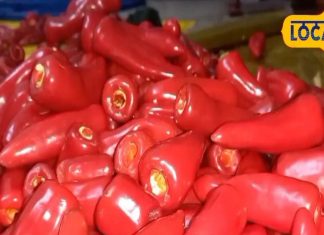 आम-गाजर नहीं, इस बार ट्राई करें भरवा मिर्च अचार, सही स्टोरेज से सालों तक ताजा, स्वाद का भी मिलेगा डबल डोज