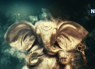 बुधवार के दिन चुपके से खा लें ये हरा पत्ता, दूर होगा वाणी दोष, कर्ज से मिलेगा छुटकारा और राहु के प्रकोप से भी मिलेगी मुक्ति!