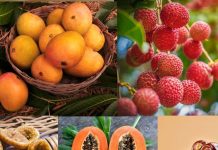 गर्मियों में इन 5 फलों का सेवन गलती से भी न करें अधिक वरना…
