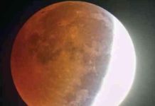 Chandra Grahan 2025 Upay: होली खेलने के तुरंत बाद करें चंद्र ग्रहण के ये उपाय, चंडाल समेत कई दोषों से मिलेगी मुक्ति और होगा धन लाभ