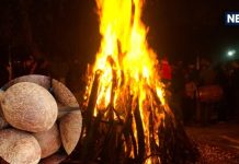 होली की रात नारियल के ये 4 उपाय बदल देंगे आपकी जिंदगी, महालक्ष्मी होंगी प्रसन्न और रोग व दोष से मिलेगी मुक्ति