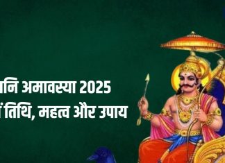 Shani Amavasya 2025: 28 या 29 कब है साल की पहली शनिश्चरी अमावस्या? जाने तिथि, पूजा मुहूर्त, महत्व और शनि दोष के उपाय