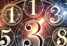 Ank Jyotish 31 March 2025: मूलांक 3 और मूलांक 6 वालों पर रहेगी मां दुर्गा की कृपा, मूलांक 5 वाले वाद विवाद से बचें! जानें आज का अंकफल