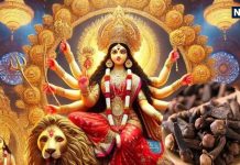 चैत्र नवरात्रि 2023: लौंग के उपाय से पाएं माता का आशीर्वाद और समृद्धि