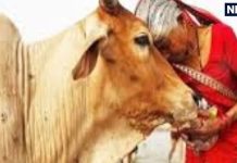 वास्तु टिप्स: घर में समृद्धि और खुशहाली के उपाय – अनिल कुमार शर्मा