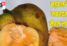 सिर्फ 5-10 रुपये दाम लेकिन सेहत के लिए खजाने से कम नहीं ये फल, जानें 10 लाभ