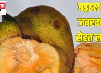 सिर्फ 5-10 रुपये दाम लेकिन सेहत के लिए खजाने से कम नहीं ये फल, जानें 10 लाभ