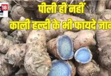 12 महीने मिलने वाला ये औषधीय मसाला ‘विष नाशक’, घाव भरे तुरंत, जानें 8 फायदे