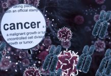 वैज्ञानिकों को मिल गया कैंसर कोशिकाओं को रोकने की तरकीब, डीएनए में छुपा है इसका राज, नई उम्मीद की जगी आस