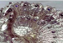 Vastu Tips For Money: व्यापार में तरक्की के लिए घर में यहां रखें चांदी का मोर, खुलेंगे किस्मत के द्वार