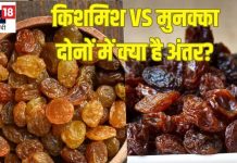 क्या किशमिश और मुनक्का दोनों एक है? 90% लोगों को नहीं पता होगा अंतर