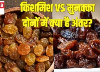 क्या किशमिश और मुनक्का दोनों एक है? 90% लोगों को नहीं पता होगा अंतर