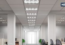 नौकरी में मिलेगा प्रमोशन, सफलता भी चूमेगी कदम, 3 फेंडशुई टिप्स बदल देंगी आपकी लाइफ!