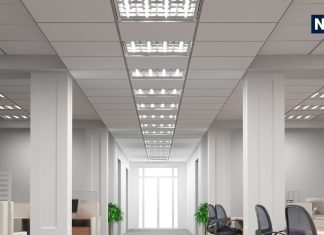 नौकरी में मिलेगा प्रमोशन, सफलता भी चूमेगी कदम, 3 फेंडशुई टिप्स बदल देंगी आपकी लाइफ!