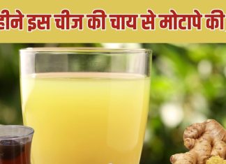 बिना दूध इस खट्टी चीज की चाय पीकर देखिए, एक महीने में वजन गिरना शुरू नहीं हुआ तो फिर कहिए, जान लीजिए बनाने का तरीका