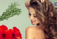 बाल पतले-बेजान हैं, झड़ भी रहे हैं तो हेयर केयर में शामिल करें यह जादुई 7 पौधे