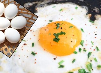 2 या 3… दिन में कितने अंडे खाने चाहिए? पीला भाग खाना सही या गलत? एक्सपर्ट से जानें सेवन का सही तरीका