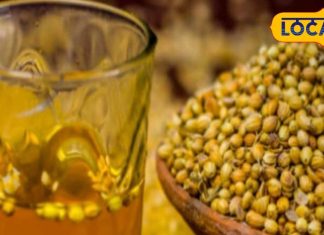 पेट की गर्मी से तपा हुआ है शरीर? बस इस मसाले का पिएं पानी, गर्मियों में….