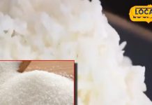 सिर्फ टहलना ही नहीं, वसंत ऋतु में अपनाएं ये डाइट, सर्दी-खांसी की भी हो जाएगी छुट्टी