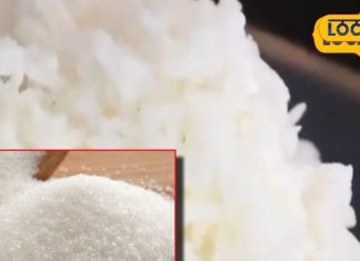 सिर्फ टहलना ही नहीं, वसंत ऋतु में अपनाएं ये डाइट, सर्दी-खांसी की भी हो जाएगी छुट्टी