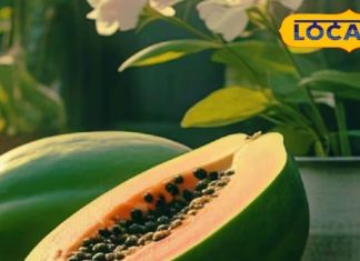 चिकन-मटन खाने वाले, एक बार इस फल को खाओ! विटामिन से भरपूर और फाइबर का बाप