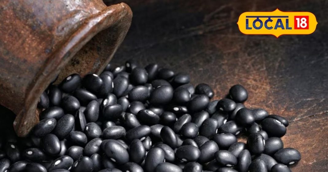 नॉनवेज नहीं खाते? कोई बात नहीं! इस काली चीज से मिलेगी जबरदस्त ताकत और मसल्स