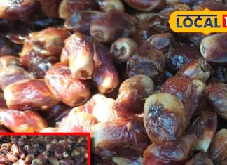 बिना खजूर के अधूरी है जामनगर की होली! जानिए इसके पीछे छिपा सेहत से जुड़ा गहरा राज