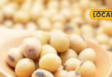 मांस से कम नहीं ये दाल! कई अंडों से ज्यादा प्रोटीन, खाने से शरीर बनेगा फौलादी