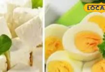 गर्मी में क्या खाएं – अंडा या पनीर? वजन कम करने वालों के लिए कौन बेहतर? जानिए