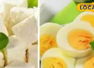 गर्मी में क्या खाएं – अंडा या पनीर? वजन कम करने वालों के लिए कौन बेहतर? जानिए
