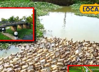 तिरुवनंतपुरम से सिर्फ 12 KM दूर छुपी है ‘जन्नत’! यहां हुईं कई फिल्मों की शूटिंग, एक बार जरूर जाएं