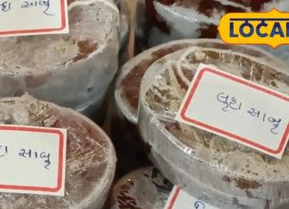 महंगे ब्रांडेड साबुन भी कर रहे स्किन को बर्बाद? जानिए क्यों दादी-नानी के जमाने के ये साबुन सबसे बेस्ट