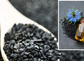 5 बीमारियों की बेजोड़ औषधि है किचन की ये काली चीज, सेवन करने से इम्यूनिटी होगी बूस्ट! बुखार और सर्दी भी कारगर