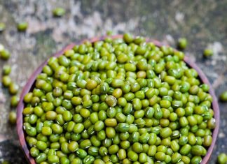 प्रोटीन के मामले में मुर्गा मटन अंडे को भी पीछे छोड़ देती है ये दाल, जानें लाभ