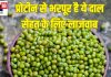 प्रोटीन के मामले में इस दाल के आगे मुर्गा मटन भी टेक देते हैं घुटने, पाचन रखे फिट, कब्ज करे दूर, एनर्जी का पावरहाउस