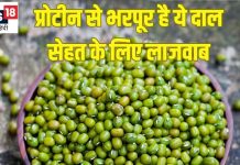 प्रोटीन के मामले में इस दाल के आगे मुर्गा मटन भी टेक देते हैं घुटने, पाचन रखे फिट, कब्ज करे दूर, एनर्जी का पावरहाउस
