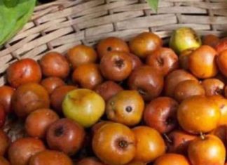 बेर के फायदे: इम्यूनिटी, पाचन और त्वचा के लिए लाभकारी.