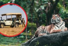 भारत के 6 शानदार नेशनल पार्क, जहां आपको जिंदगी में कम से कम एक बार जरूर जाना चाहिए! यहां से लें जानकारी