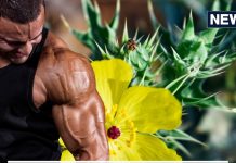 सिर्फ 7 दिनों में नस-नस में उबाल मारने लगेगी ताकत, अगर कर लिया इस चीज का सेवन, ताउम्र रहेंगे जवान !