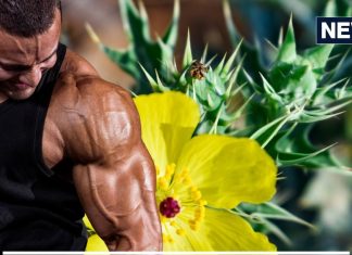 सिर्फ 7 दिनों में नस-नस में उबाल मारने लगेगी ताकत, अगर कर लिया इस चीज का सेवन, ताउम्र रहेंगे जवान !