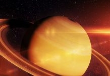 शनि के राशि परिवर्तन के 29 दिन बाद बड़ा धमाका! अपने ही नक्षत्र में करेंगे गोचर, 3 राशिवालों के हाथ लगेगी सफलता