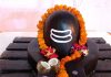 क्यों शिवलिंग पर चढ़ाते हैं आधा नारियल? गजब के फायदों से हैरान रह जाएंगे आप! पंडित जी से जानें इसका महत्व और कारण!