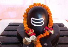 क्यों शिवलिंग पर चढ़ाते हैं आधा नारियल? गजब के फायदों से हैरान रह जाएंगे आप! पंडित जी से जानें इसका महत्व और कारण!