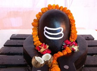 क्यों शिवलिंग पर चढ़ाते हैं आधा नारियल? गजब के फायदों से हैरान रह जाएंगे आप! पंडित जी से जानें इसका महत्व और कारण!